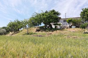 Terreno con casolare