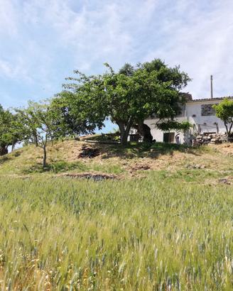 Terreno con casolare