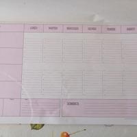 Organizer planner scrivania settimanale cartaceo