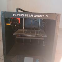 FLYING BEAR GHOST 5 ROTTA, DA RIPARARE