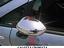 Immagine 18