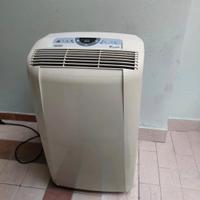Climatizzatore pinguino de longhi 