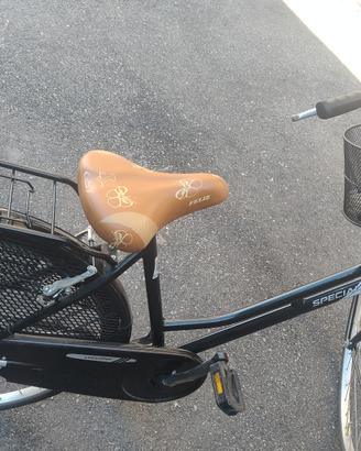bicicletta lucchino