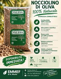 nocciolino di oliva 100% naturale