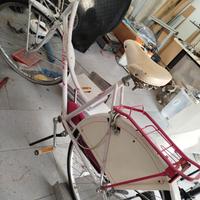 bicicletta da donna Atala