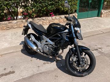 Suzuki SFV Gladius 650 - 2010