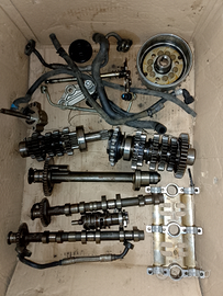 Testata Triumph 1050 del 2005 2010