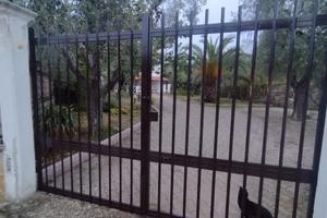 Vieste porzione di Casa con terreno e giard