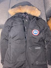 Canada goose