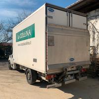 Peugeot 35q con sponda idraulica