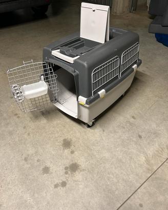Trasporto per gatto