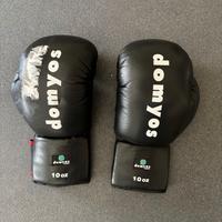 guantoni boxe Domyos - 10 oz