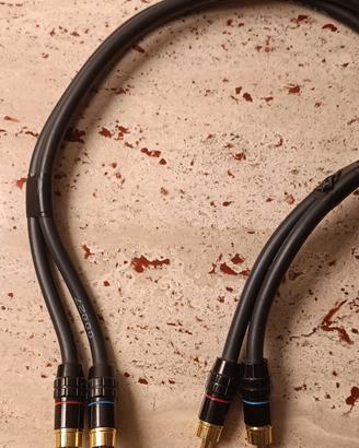 Transparent cable the link 200