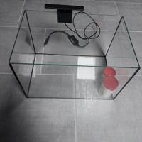 piccolo acquario con luce 