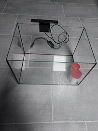piccolo acquario con luce 