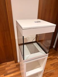 Acquario Askoll Pure M