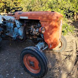 SAME Puledro 35 (prodotto tra il 1960 e il 1965) 