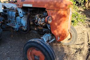 SAME Puledro 35 (prodotto tra il 1960 e il 1965) 