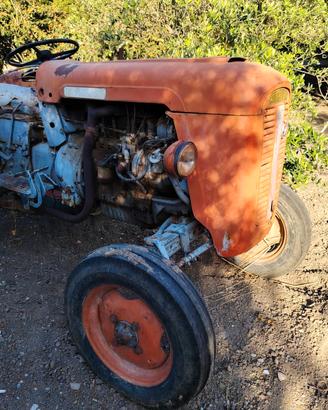 SAME Puledro 35 (prodotto tra il 1960 e il 1965) 