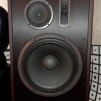 casse passive magnat