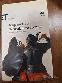 Torquato Tasso- Gerusalemme liberata
