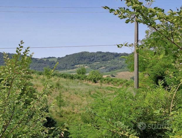 Immobile in asta di 121256 m² a Borgoratto Mormoro - Vista 4