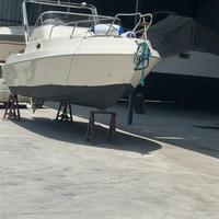 Barca cabinata con motore fuoribordo 115cv 4 tempi