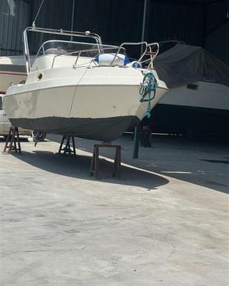 Barca cabinata con motore fuoribordo 115cv 4 tempi