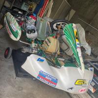 Tony kart evrr kz10c