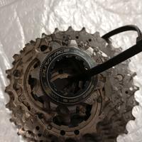 pacco pignoni durace 11-28