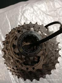 pacco pignoni durace 11-28