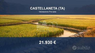 Immobile in asta di 51318 m² a Castellaneta