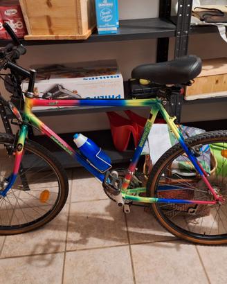 Bici con cambio shimano