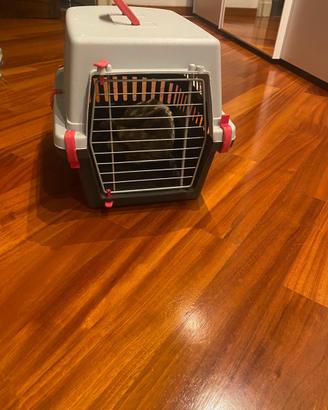 Trasportino gatto o cane