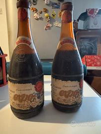 Bottiglie Riserve expo fratelli Francoli