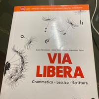 libro via libera grammatica