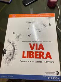 libro via libera grammatica