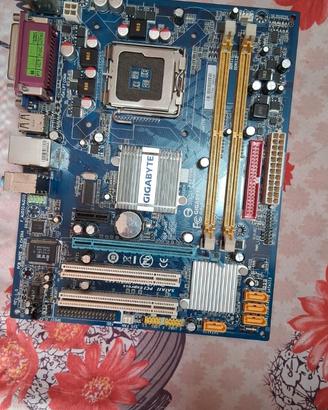 scheda madre GIGABYTE.
