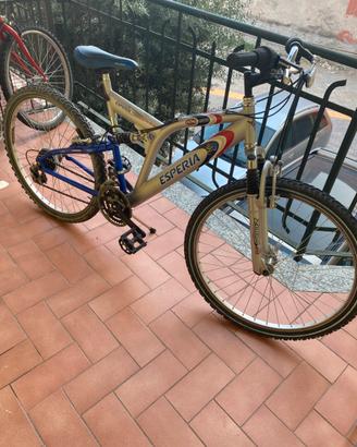 MTB Esperia Excalibur 3000