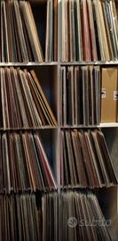 Lotto 500 dischi vinile