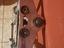 Immagine 6