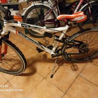 bicicletta mountain bike 26