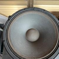 Coppia woofer 15 b&c 15pk40