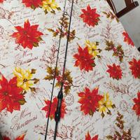 Canna spinning rapture ultra light