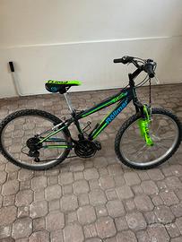 MTB Rollman Climb 24