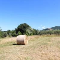 TER. RESIDENZIALE A ROCCA SINIBALDA