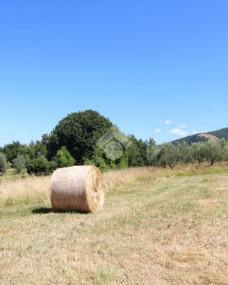TER. RESIDENZIALE A ROCCA SINIBALDA
