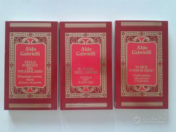 A.Gabrielli L'italiano senza problemi