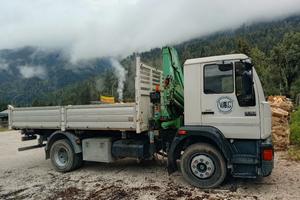 man 14-163 gru amco veba 