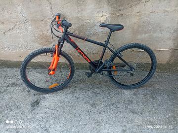 bici da Mountain bike